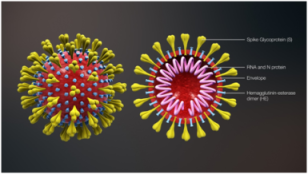 corona structure